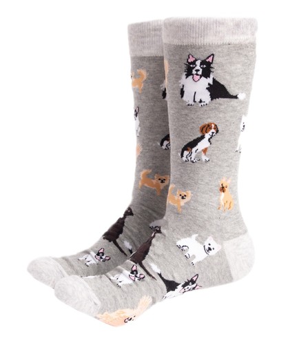 Soctopus womens socks dog - 4-8,