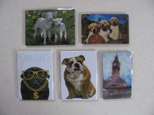 Fridge magnets various theme - magnets,