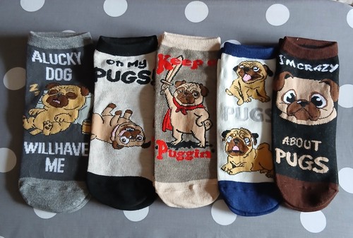 New pairs pug socks - new,