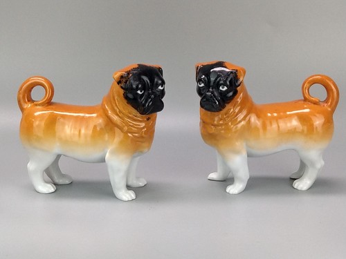 Pair antique pug dog - pair,
