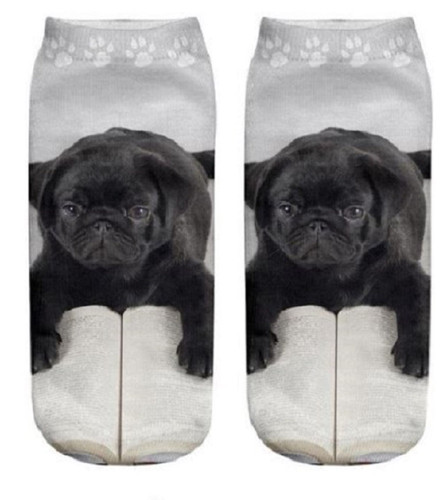Pug cute dog trainer - pug, socks