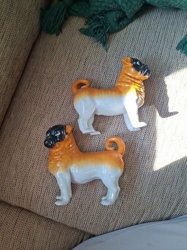 Pair quality pug dogs - of,