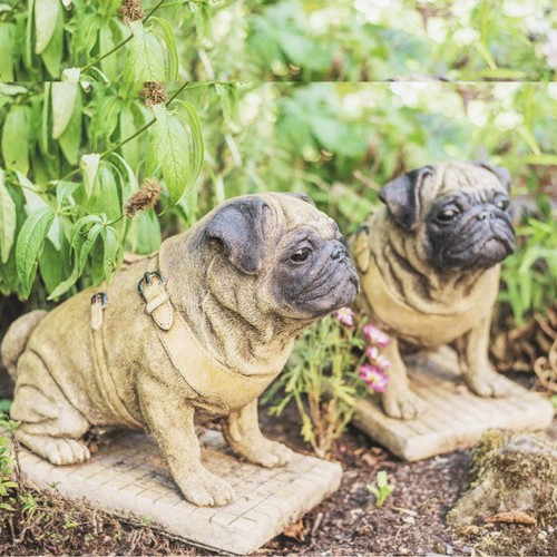 Lifesize pair sitting pug - pair,